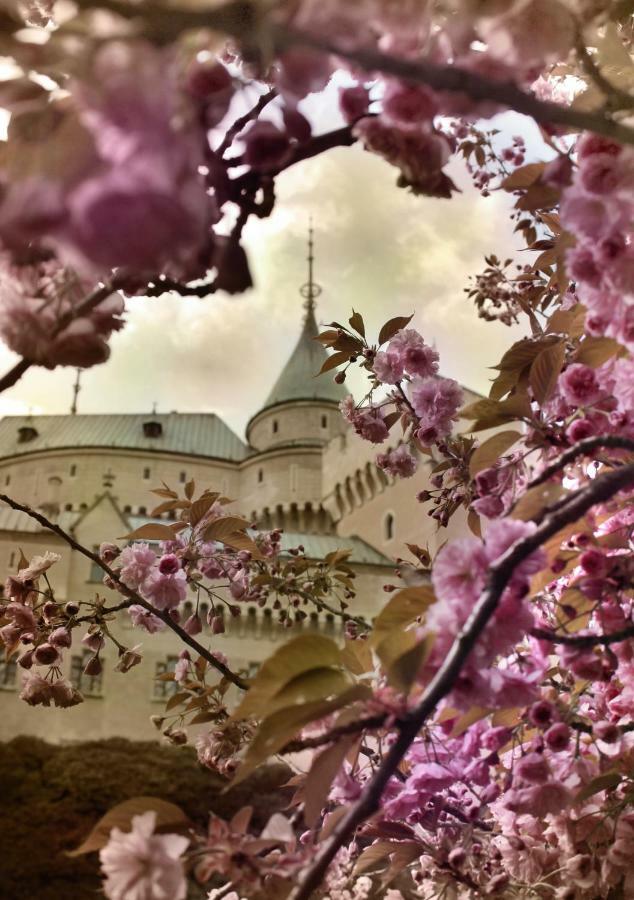 Penzion Melodia Kanianka Exteriér fotografie