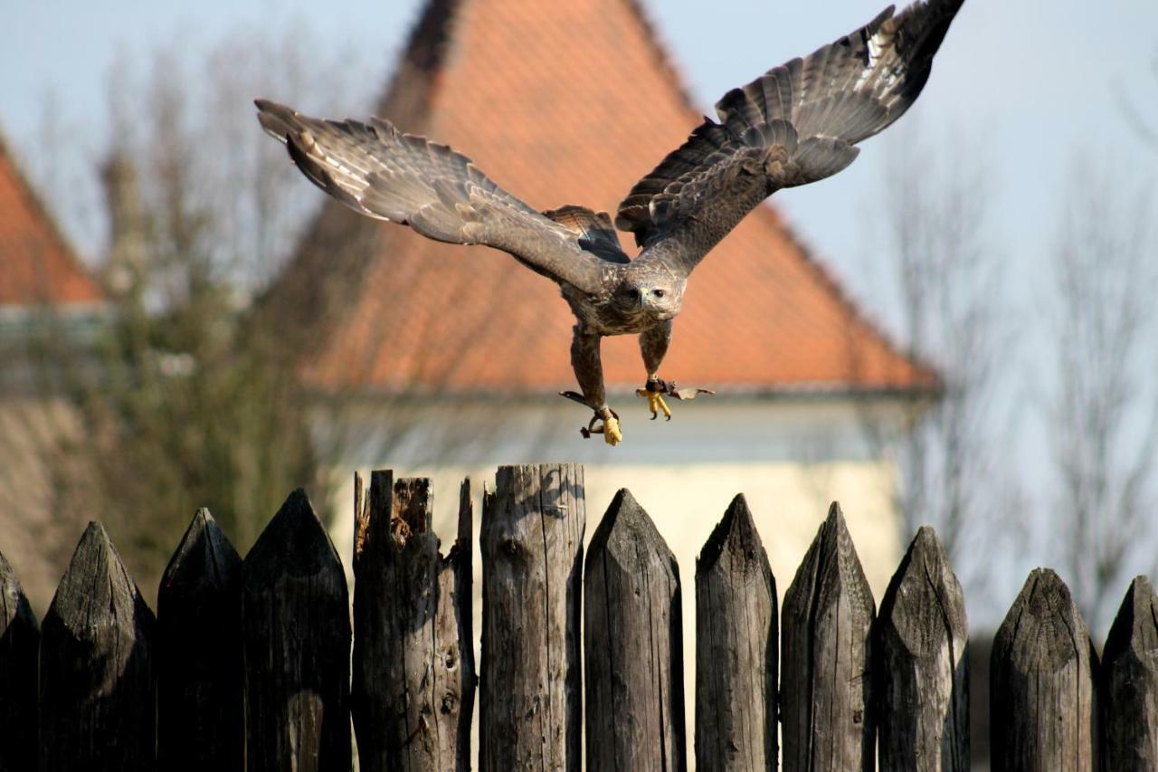 Penzion Melodia Kanianka Exteriér fotografie
